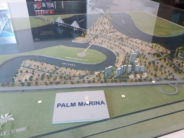  5 lý do nên chọn dự án Palm Marina